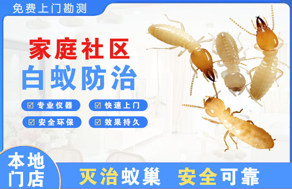 毕节家庭社区白蚁防治