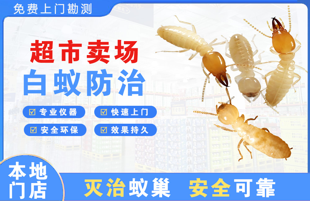 毕节超市卖场白蚁防治