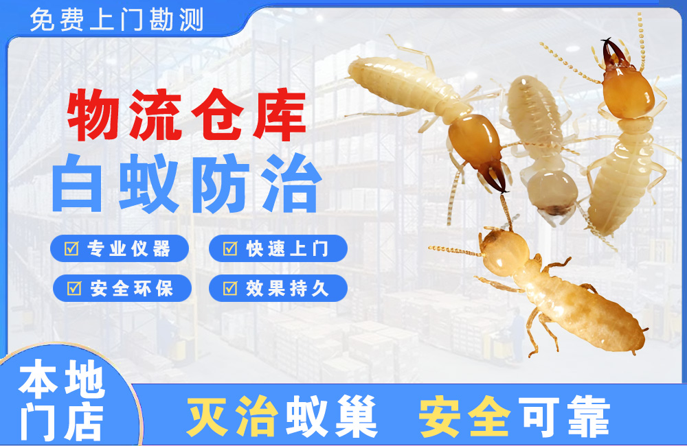 毕节物流仓库白蚁防治