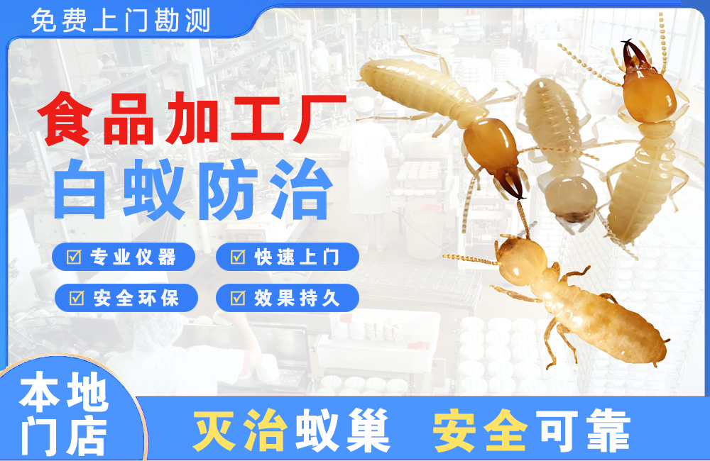 毕节食品加工厂白蚁防治