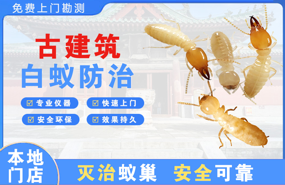 毕节古建筑白蚁防治