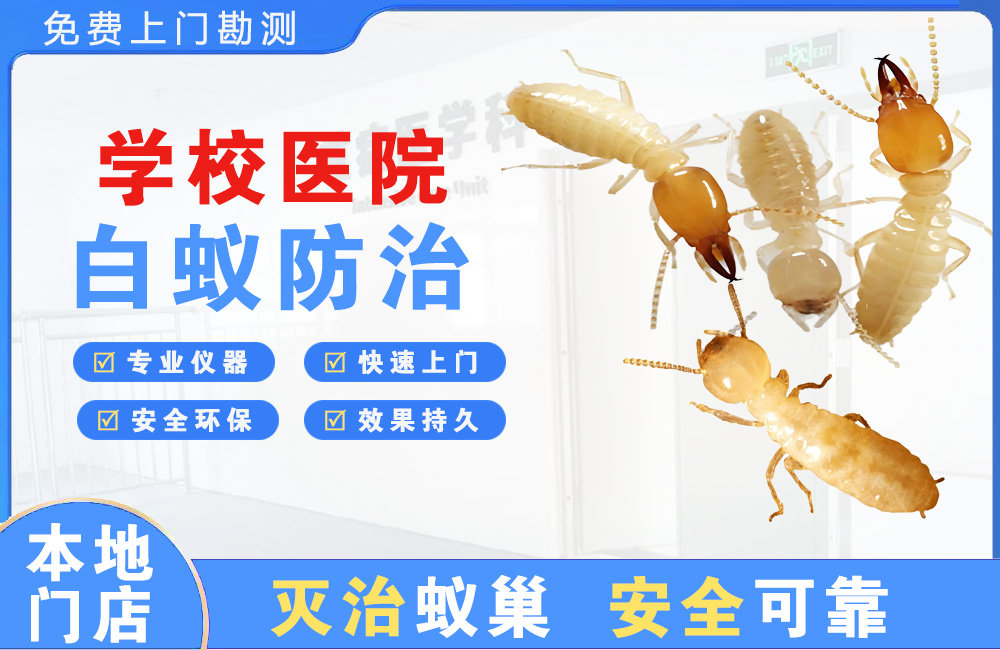 毕节学校医院白蚁防治