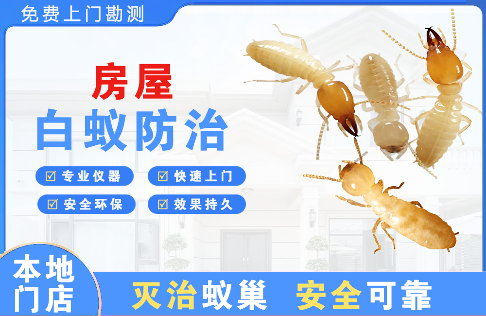 毕节房屋白蚁防治
