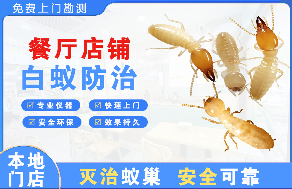 毕节餐厅店铺白蚁防治